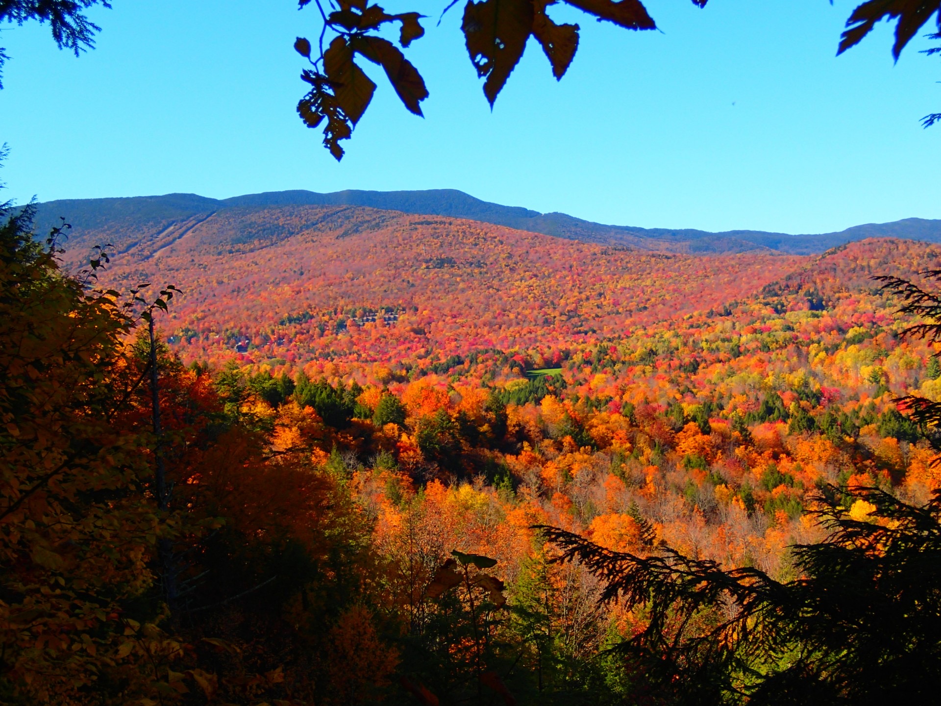 Reader submitted foliage photo from Ardis  Beauchemin.